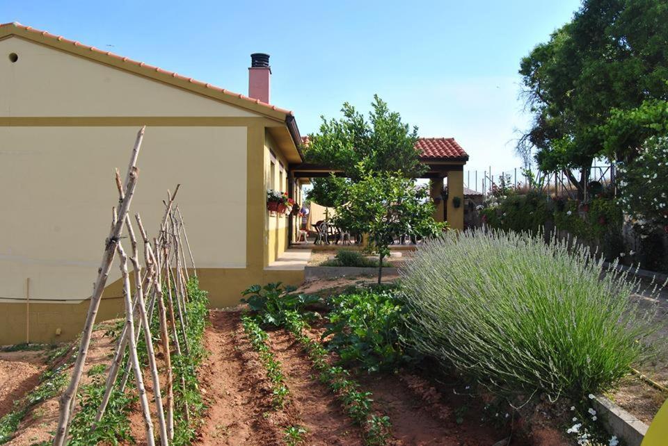 Apartamentos La Bodega Del Abuelo Bujalaro Extérieur photo